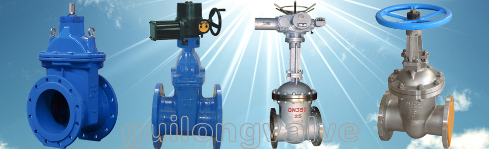 �������ţ��Ϻ������޹�˾